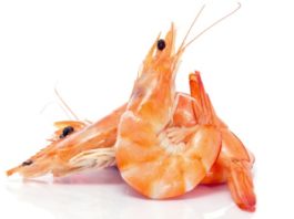 Gambero rosso 610 0 Gambero rosso